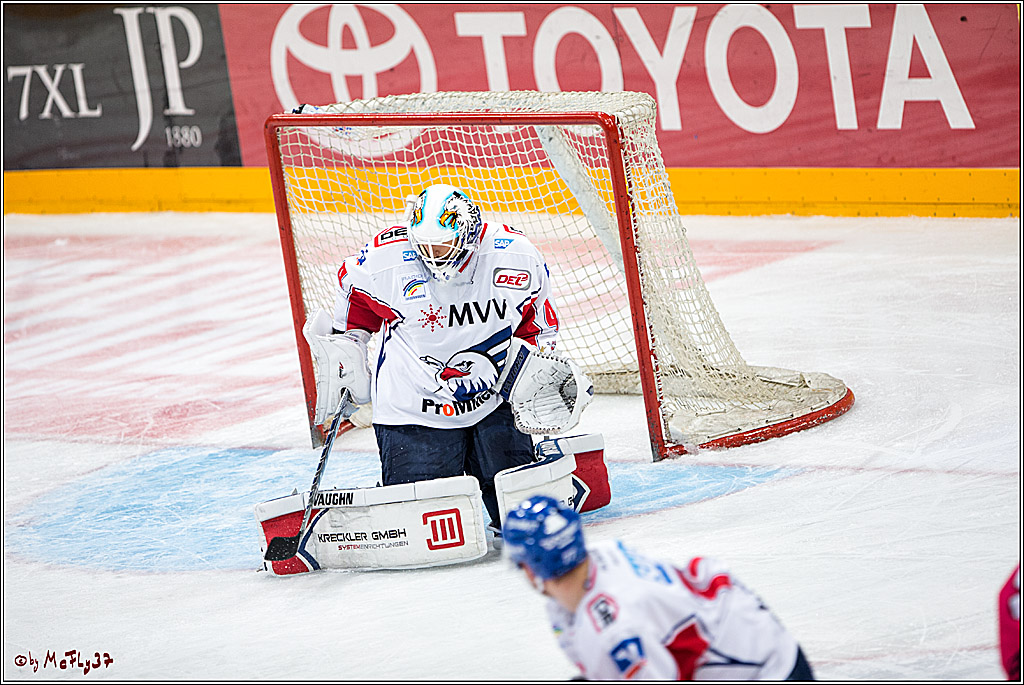 Koelner Haie - Adler Mannheim, 30.10.2016